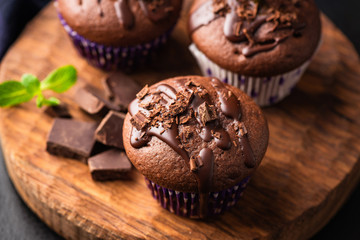 chocolate-cupcake-baking-courses